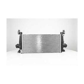 Kjøp Intercooler av BSG BSG 65-535-010 til den lave prisen 2474,18 NOK