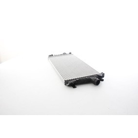 Kjøp Intercooler av BSG BSG 65-535-011 til den lave prisen 2933,96 NOK
