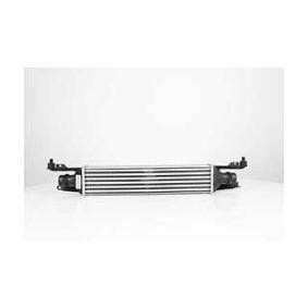 Kjøp Intercooler av BSG BSG 65-535-012 til den lave prisen 2038,84 NOK