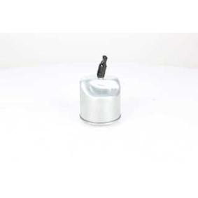 Achetez des Filtre à carburant BSG BSG 70-130-009 à prix pour 36,22 €
