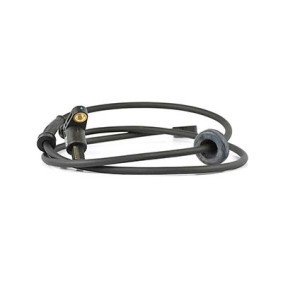 Acquista Galoppino guidacinghia, cinghia Poly-V da BSG BSG 70-501-001 a buon mercato per soli 61,13 €