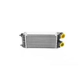 Achetez des Intercooler BSG BSG 70-535-009 à prix pour 110,71 €