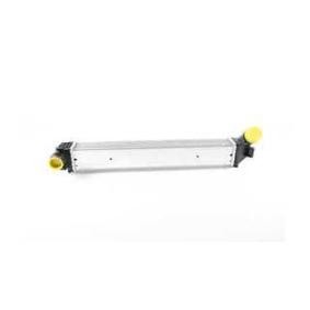 Köp Intercooler av BSG BSG 75-535-001 till det låga priset 1818,15 kr