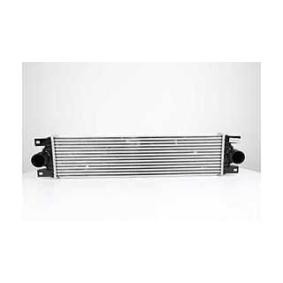 Köp Intercooler av BSG BSG 75-535-002 till det låga priset 1469,75 kr