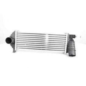 Köp Intercooler av BSG BSG 75-535-008 till det låga priset 1325,95 kr