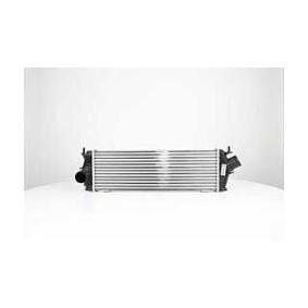 Köp Intercooler av BSG BSG 75-535-009 till det låga priset 1326,16 kr