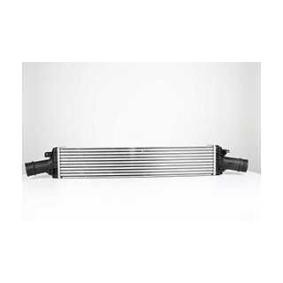 Köp Intercooler av BSG BSG 90-535-013 till det låga priset 1905,14 kr