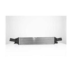 Köp Intercooler av BSG BSG 90-535-014 till det låga priset 1486,19 kr