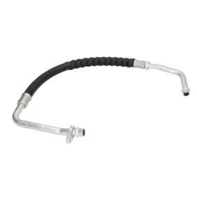 Achetez des Tuyau de clim de chez THERMOTEC en ligne pour Scénic I (JA0/1, FA0) à prix modérés
