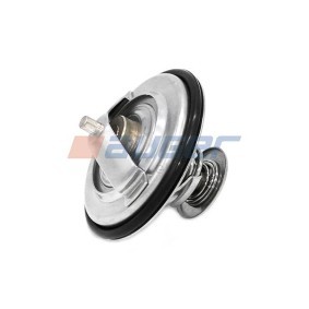 Kühlwasserthermostat 87573