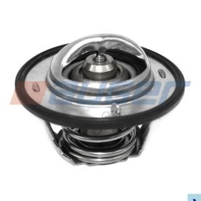 Kühlwasserthermostat 87583