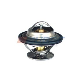 Kühlwasserthermostat 87659