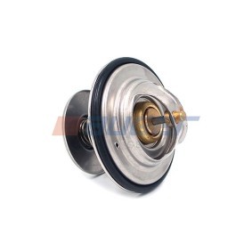 Kühlwasserthermostat 91232