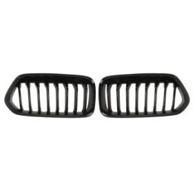 Kühlergrill 6502-07-0060911P