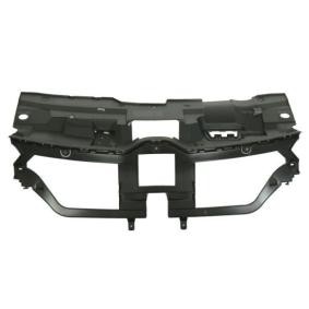 Kühlergrill 6502-07-6040210P