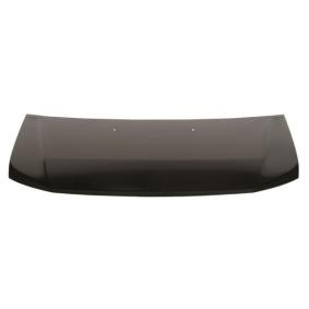 Motorhaube 6803-00-2966280P