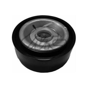 Umlenk- / Führungsrolle, Keilrippenriemen 58405 für RENAULT