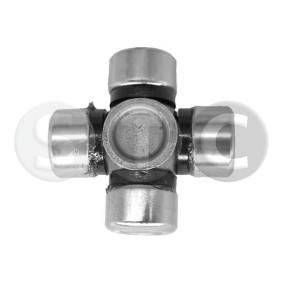 Gelenk, Lenksäule T439296