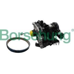 Achetez des Pompe à eau Borsehung B19205 à prix pour 442,29 €