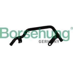 Acquista Manicotto radiatore da Borsehung online per Octavia IV Combi (NX5) a prezzi moderati