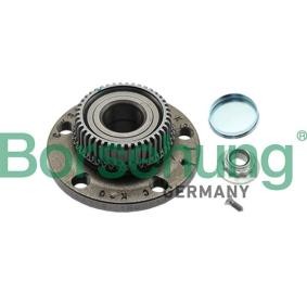VOLKSWAGEN Radlagersatz von Borsehung