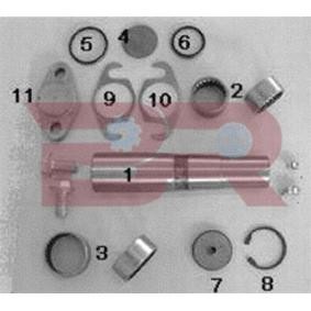 Comprar Juego de reparación, pivote del muñón del eje de BOTTO RICAMBI KITIV025OR a bajo precio de 139,80 €