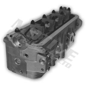 Zylinderkopf CYW851