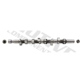 Nockenwelle für RENAULT von motive