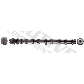 Nockenwelle T1048 von motive günstig für 154,35 € online kaufen