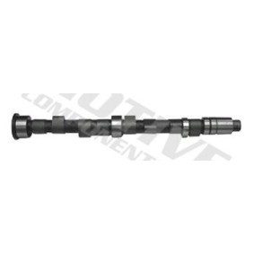 Nockenwelle T117