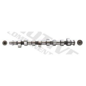 Nockenwelle T2031