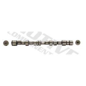 Nockenwelle T2052