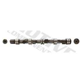 Nockenwelle T2061