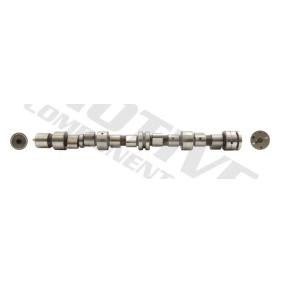 Nockenwelle T2062