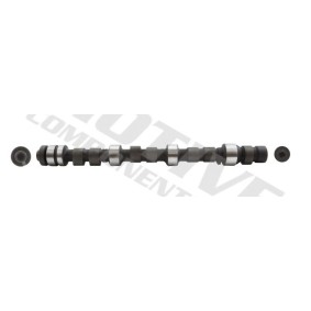 Nockenwelle T2086