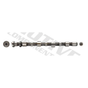 Nockenwelle T2097