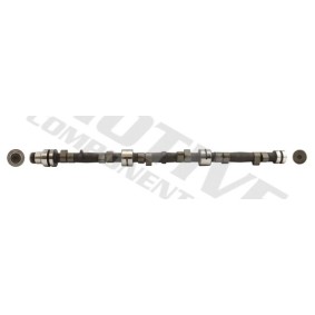 Nockenwelle T2139