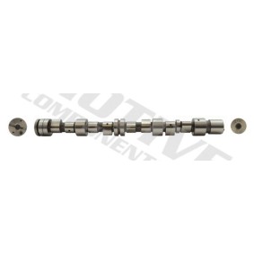 Acquista Albero a camme da motive T2168 a buon mercato per soli 103,10 €