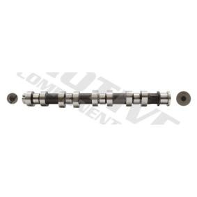 Nockenwelle T2908