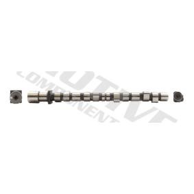 Nockenwelle T8061