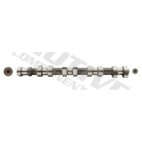 Nockenwelle T8300