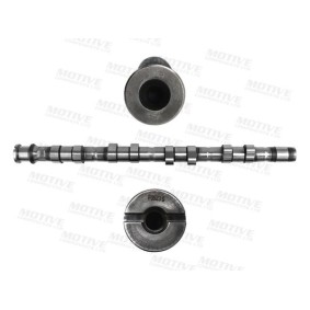 Nockenwelle T8304