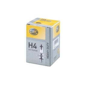 Compre Lâmpada, farol de longo alcance da HELLA 8GJ 178 555-201 a um preço baixo por 5,00 €