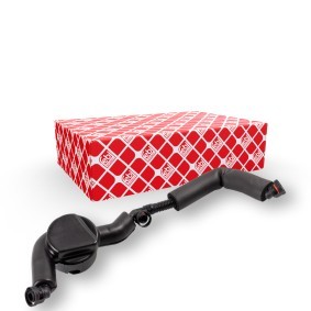 Köp Slang, vevhusventilation av FEBI BILSTEIN 170612 till det låga priset 1023,80 kr