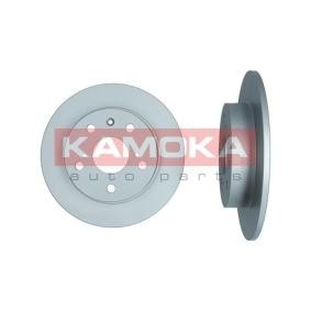 Bremsscheibe 103506