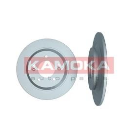 Bremsscheibe 103525