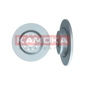 Bremsscheibe 103536