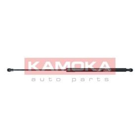Compre Amortecedor de capô de KAMOKA online para C6 (TD_) a preços moderados