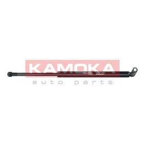 Achetez des Coffre à bagages de chez KAMOKA en ligne pour B10 (E39) à prix modérés