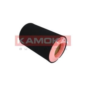 Luftfilter F252301